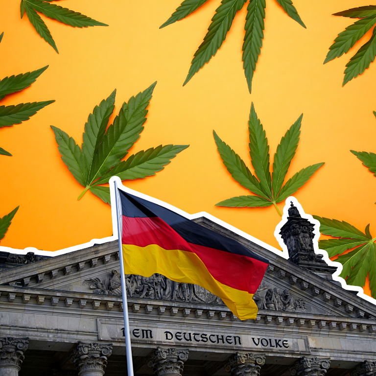 Optimizing Cannabis Cultivation Energy Use in German Social Clubs