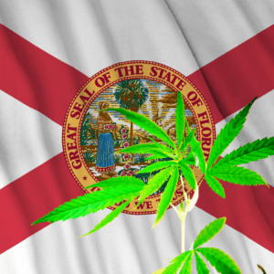 Florida's Future: Recreational Cannabis on the Horizon?