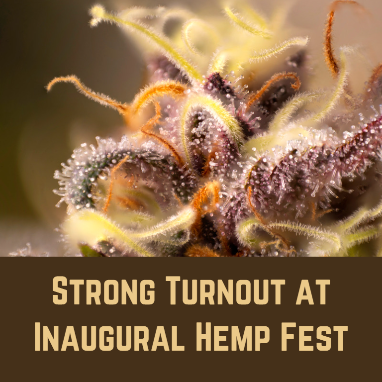 Successful Debut: Hemp Fest Attracts a Big Crowd