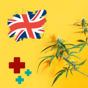 UK Medical Cannabis Industry at a Tipping Point: Experts Warn