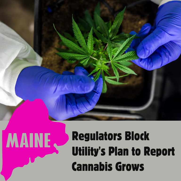 Maine Regulators Block Utility's Plan to Report Cannabis Grows