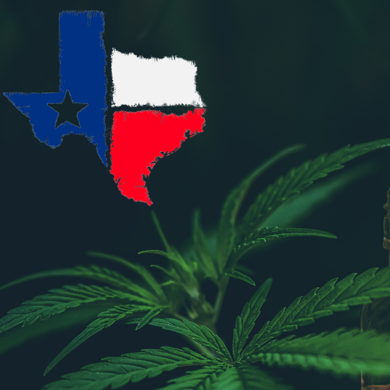 Texas' Revolver Brewing to be Acquired by Cannabis Company