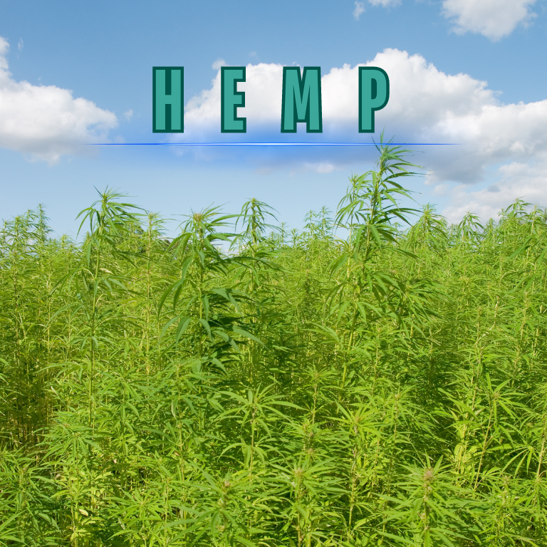 California Hemp Conflict Highlights Long-Term Cannabis Issues