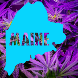 Maine Task Force Weighs Cannabis Lounges for Industry Growth