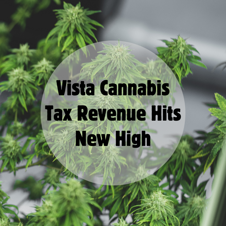 Vista Cannabis Boosts Tax Revenue Significantly