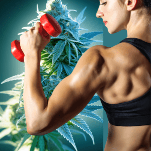 New Study Finds Cannabis Users Have Lower Obesity Rates