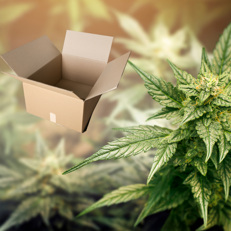 Missouri’s New Cannabis Packaging Deadline Set for Sept 1