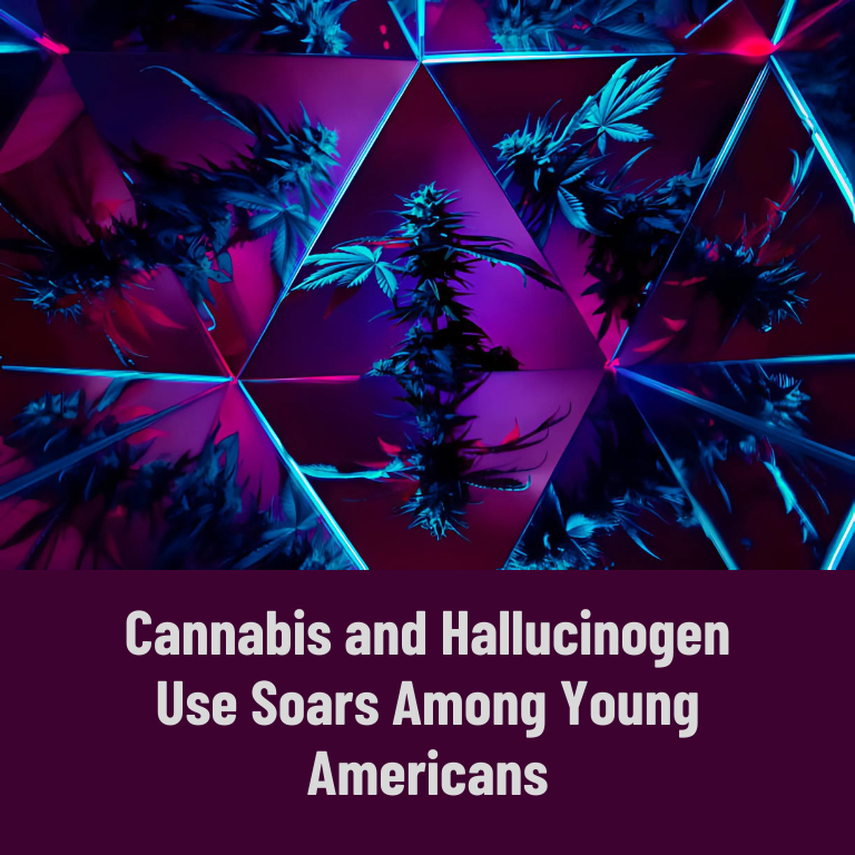 Record Highs in Cannabis and Hallucinogen Use Among Americans