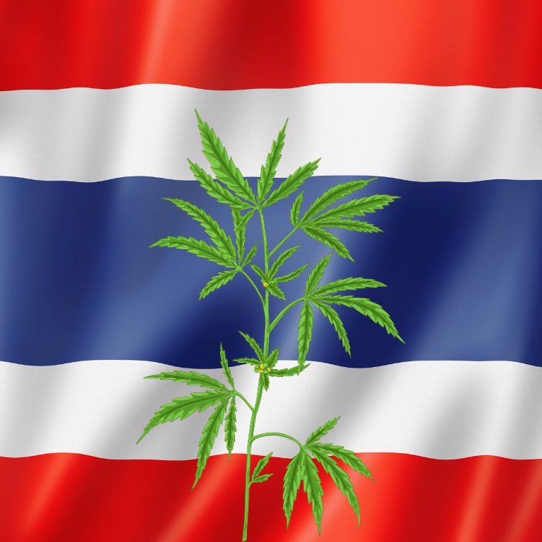 Thai Government’s Cannabis Approach Faces Backlash