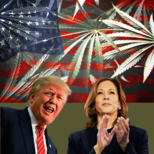 Harris Campaign Accuses Trump of 'Pandering' to Cannabis Users