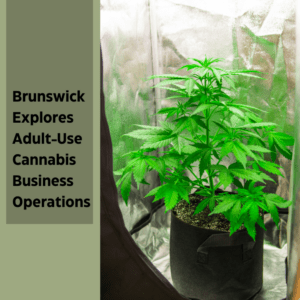 Brunswick Explores Adult-Use Cannabis Business Operations