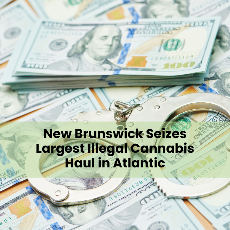 New Brunswick Seizes Largest Illegal Cannabis Haul in Atlantic