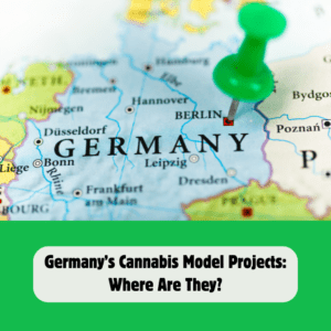 Germany’s Cannabis Model Projects: Where Are They?