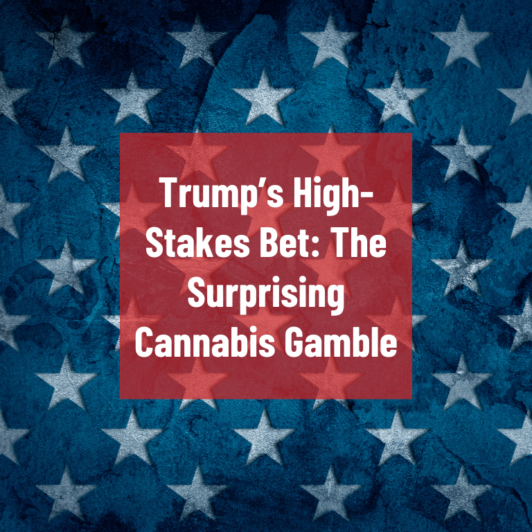 Trump’s High-Stakes Bet: The Surprising Cannabis Gamble