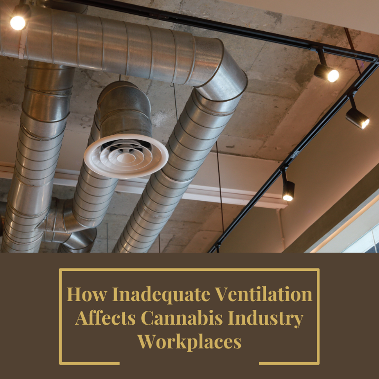 How Inadequate Ventilation Affects Cannabis Industry Workplaces