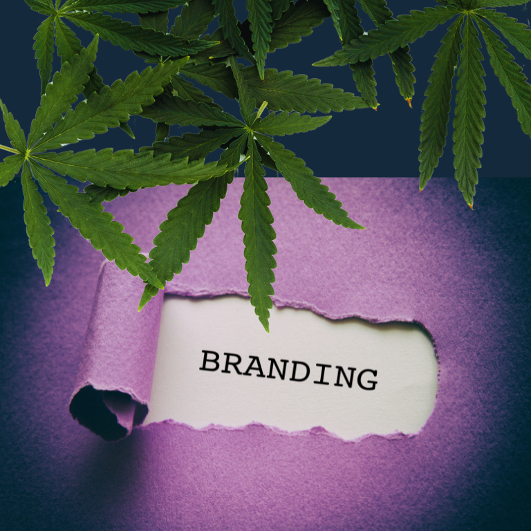 The Top 15 Qualities Every Cannabis Brand Needs for Success