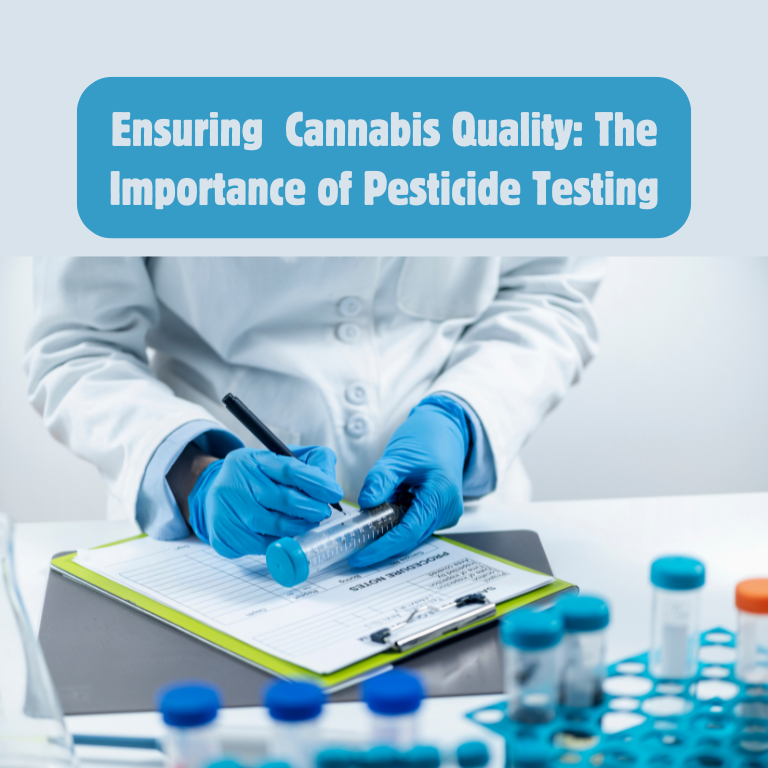 Ensuring Cannabis Quality: The Importance of Pesticide Testing