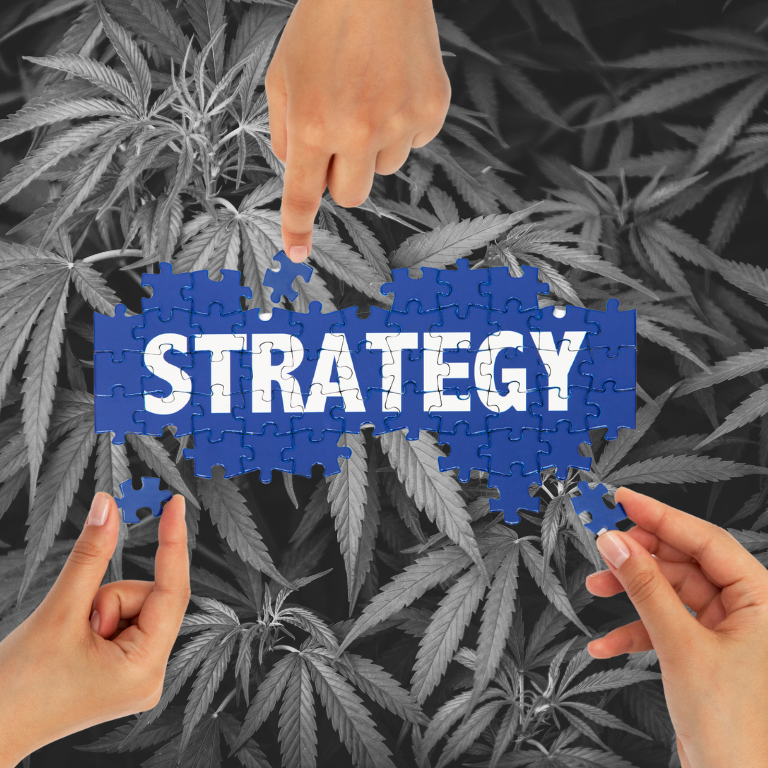 Compliance and Risk Management Strategies for Cannabis Firms