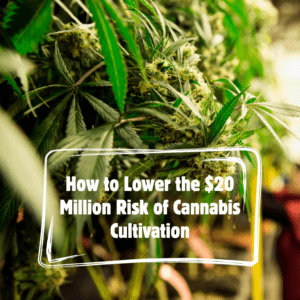 How to Lower the $20 Million Risk of Cannabis Cultivation