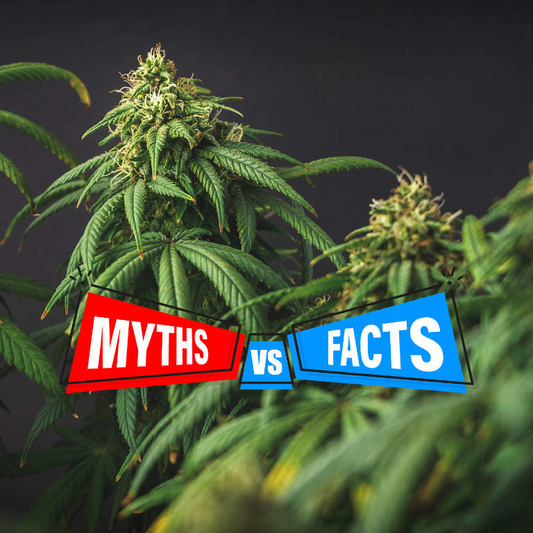 Myth vs. Fact: Understanding Cannabis Risk Management