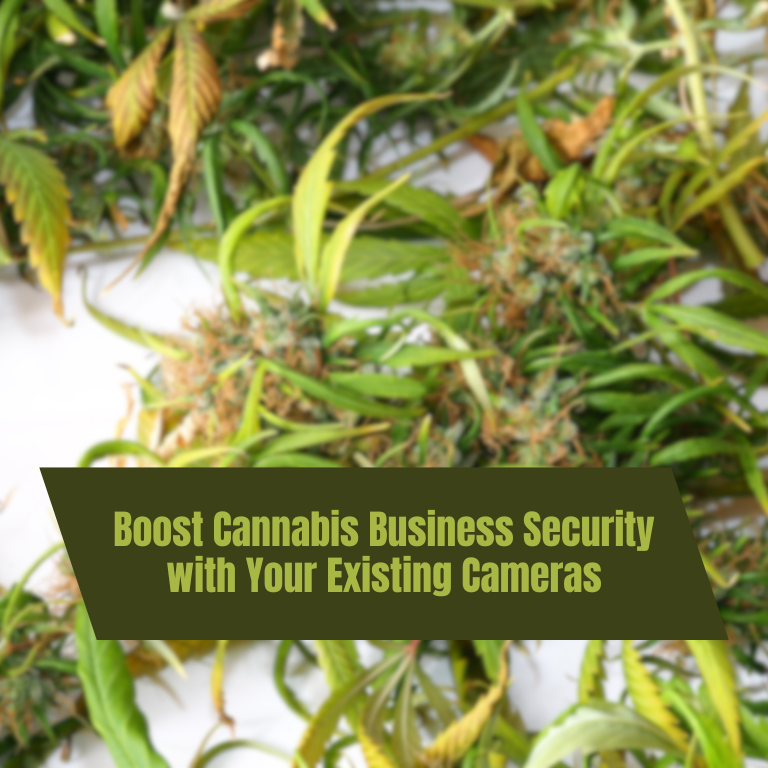 Boost Cannabis Business Security with Your Existing Cameras