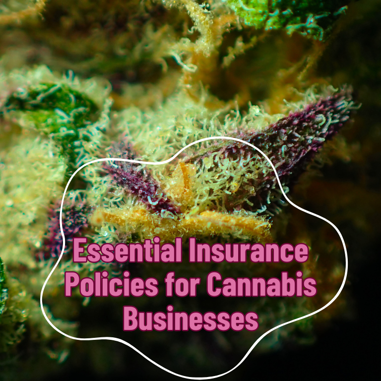 Essential Insurance Policies for Cannabis Businesses