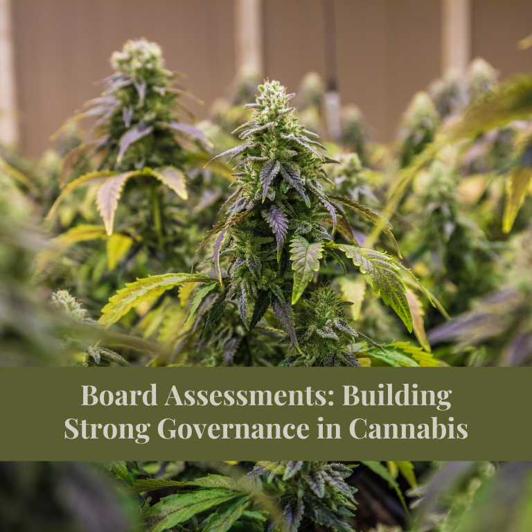 Strengthening Cannabis Governance Through Board Assessments