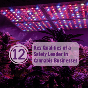 12 Key Qualities of a Safety Leader in Cannabis Businesses