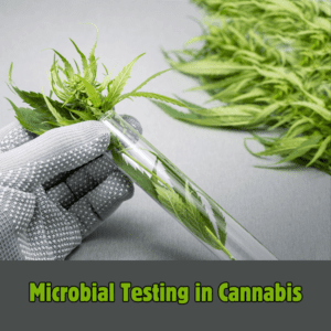 Understanding Cannabis Microbial Testing Regulations