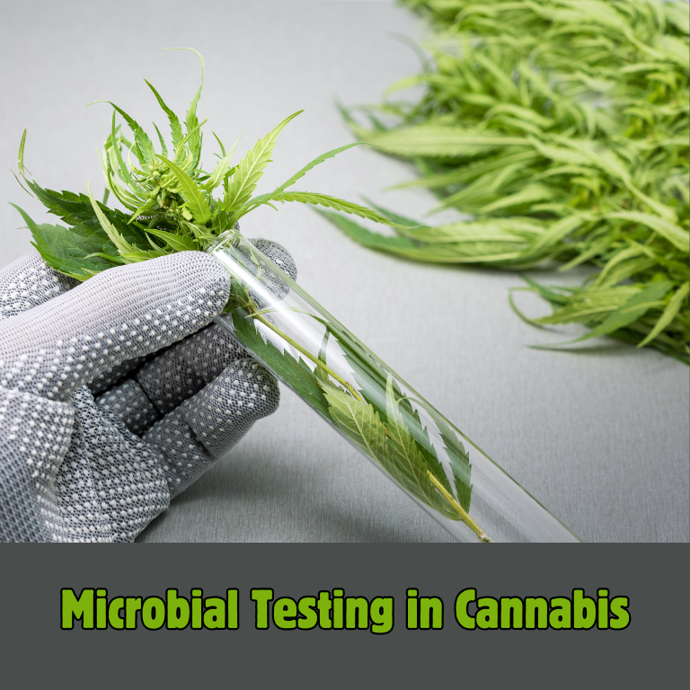 Understanding Cannabis Microbial Testing Regulations