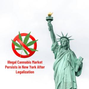 Illegal Cannabis Market Persists in New York Despite Legalization