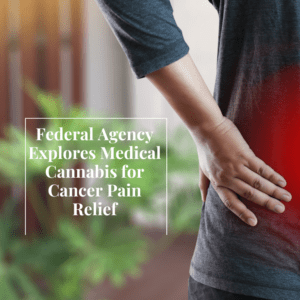 Federal Agency Explores Medical Cannabis for Cancer Pain Relief