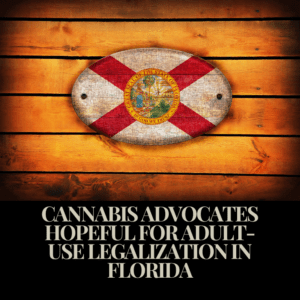 Cannabis Advocates Hopeful for Adult-Use Legalization in Florida