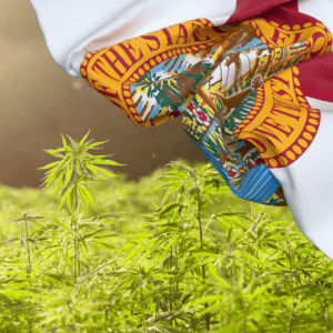 NFL’s Ricky Williams Advocates for Florida Cannabis Legalization