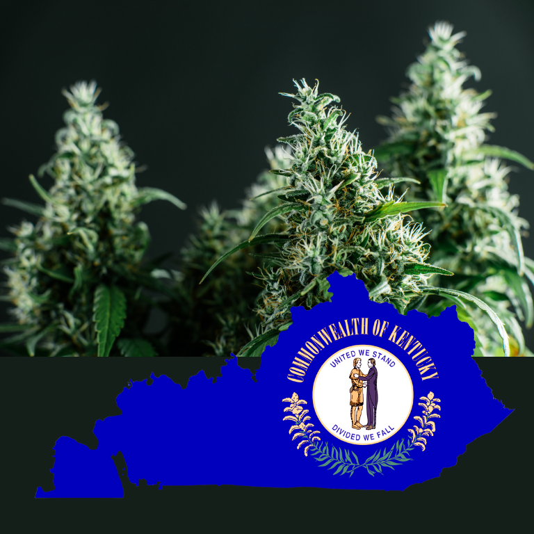 Kentucky Approves First License for Medical Cannabis Program