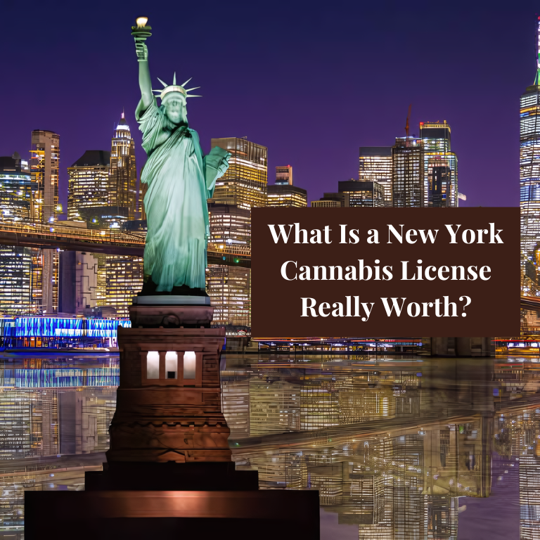 What Is a New York Cannabis License Really Worth?