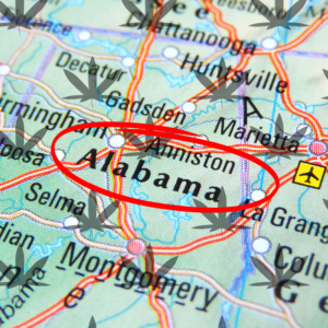 Medical Cannabis Patients in Alabama Face Delays After Hearing