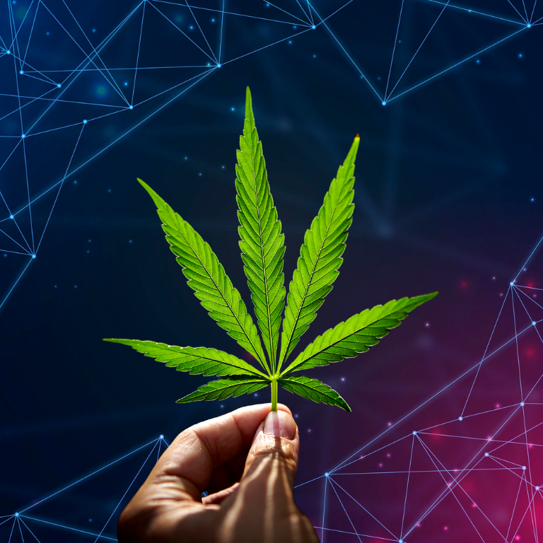 Secure Your Cannabis Operation with Cutting-Edge Scanner Tech