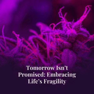 Tomorrow Isn’t Promised: Embracing Life’s Fragility