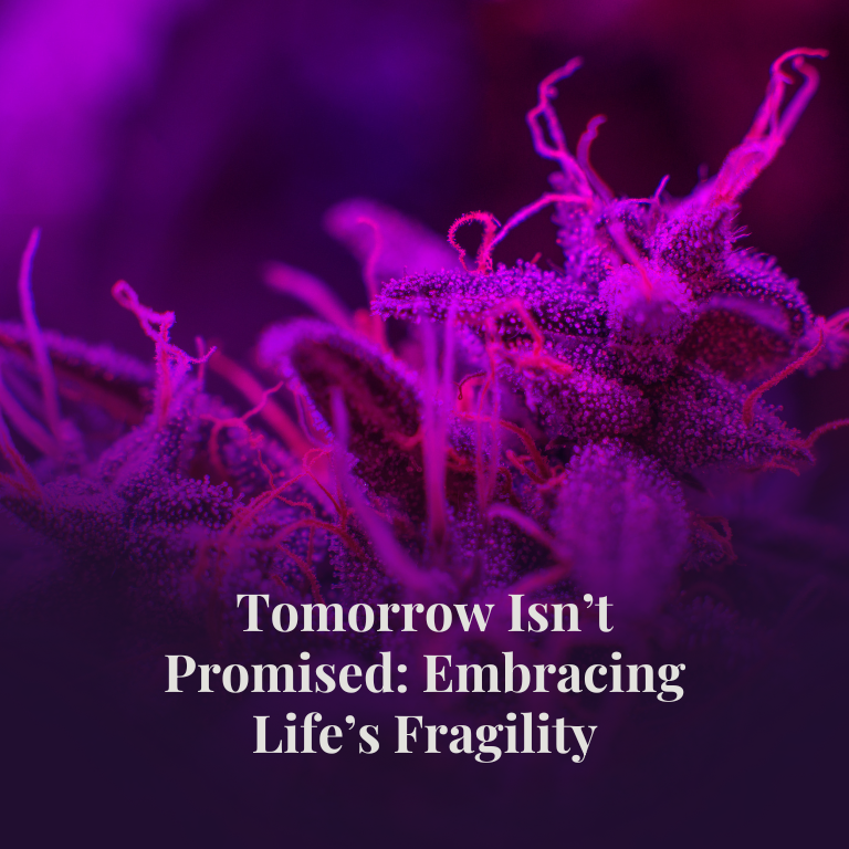 Tomorrow Isn’t Promised: Embracing Life’s Fragility