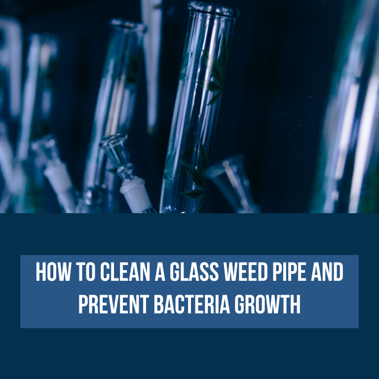 Cleaning a Glass Weed Pipe: Remove Buildup & Stop Bacteria