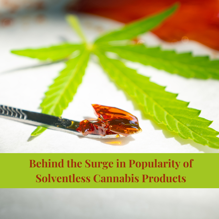 Behind the Surge in Popularity of Solventless Cannabis Products