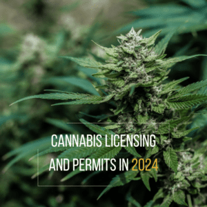 A Guide to Cannabis Licensing and Permits in 2024