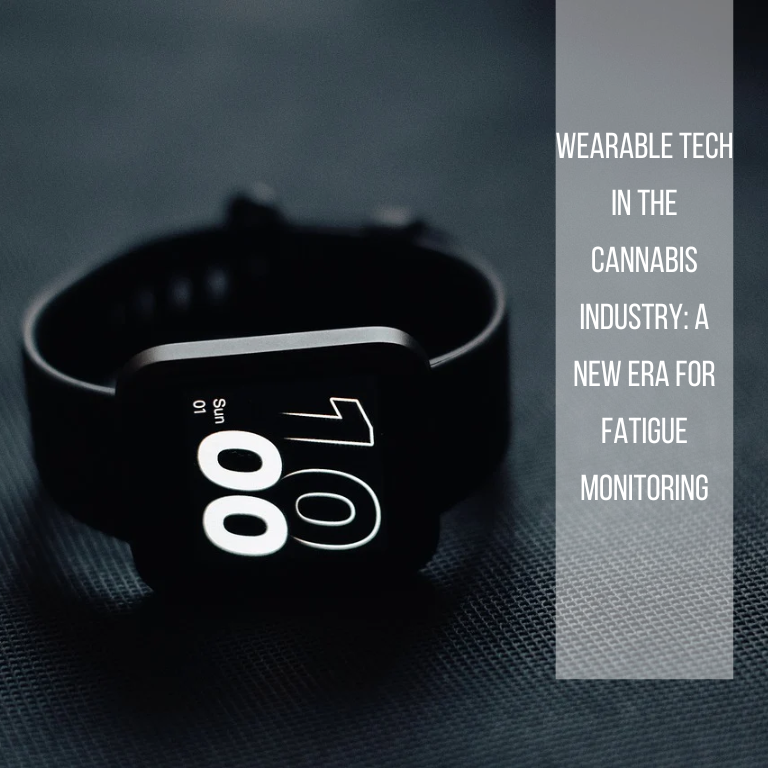 Wearable Tech in the Cannabis Industry: A New Era for Fatigue Monitoring