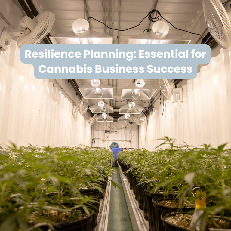 Resilience Planning: Essential for Cannabis Business Success