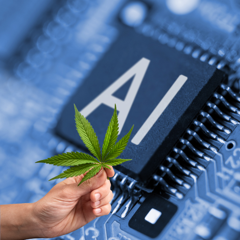 Life-Saving Tools for Cannabis: AI and Personal Competencies