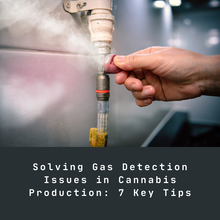 Solving Gas Detection Issues in Cannabis Production: 7 Key Tips