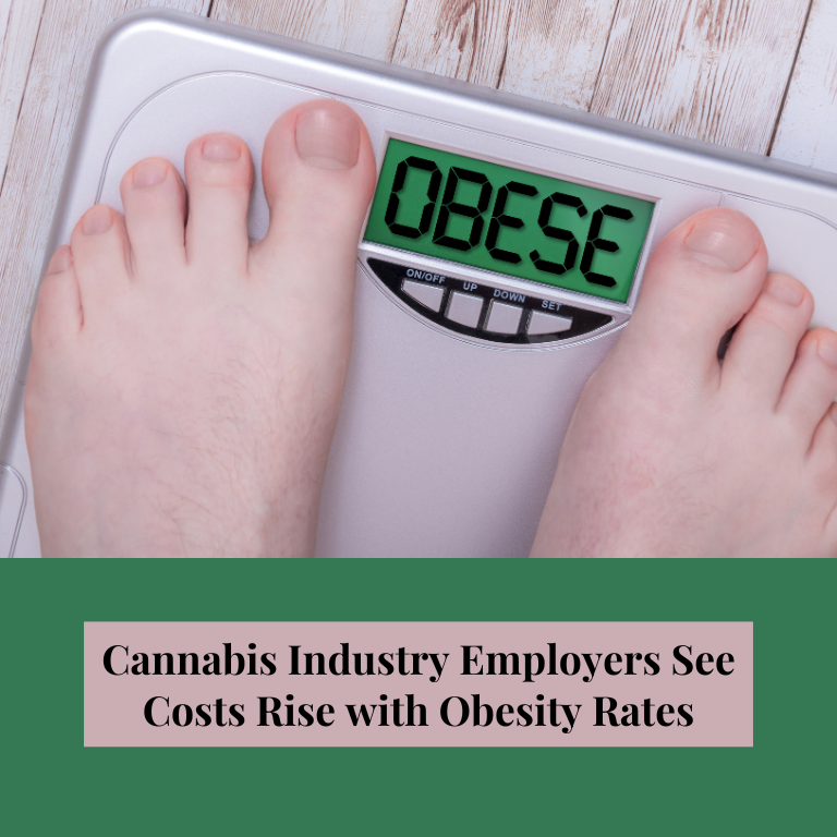 Cannabis Industry Employers See Costs Rise with Obesity Rates