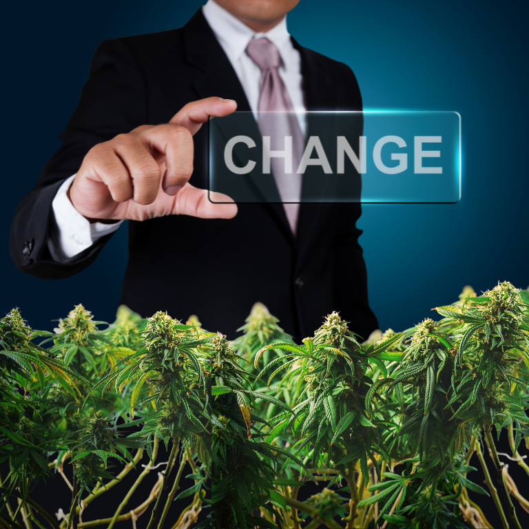 Latest Leadership Changes in the Ever-Evolving Cannabis Industry