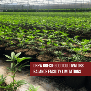 Drew Greco: Good Cultivators Balance Facility Limitations